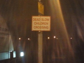 Dead Slow Children Crossing