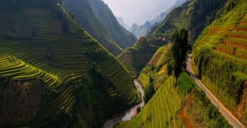 Hillside Rice Field Terraces of Thailand