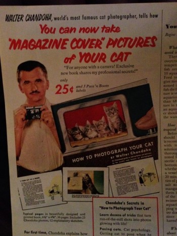 This Man Could Have Owned The Internet