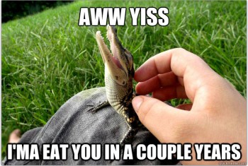 Aww Yiss