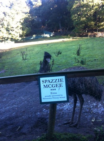 When Primary School Kids Vote On The Name of An Animal