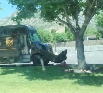 UPS Man on Lunch Break