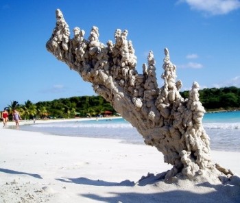 When Lightning Strikes Sand