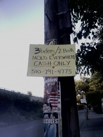 Stay Classy, Oakland