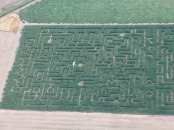 Pac Man Maze
