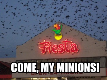 Come In