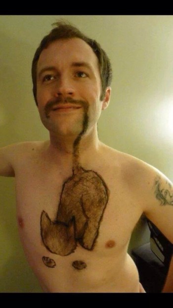 Chest Hair Cat