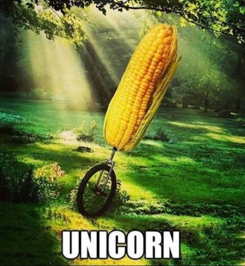 Unicorn