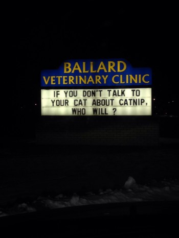 Talk To Your Cat