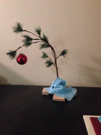 Got The Tree All Set Up