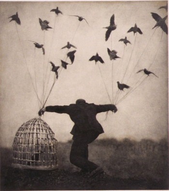 Fly Away