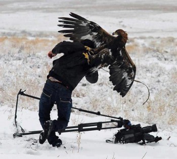 Eagle Attack