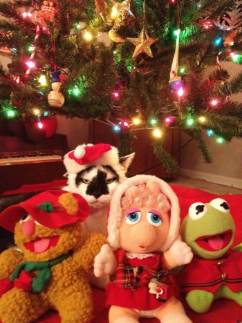 'Tis The Season!
