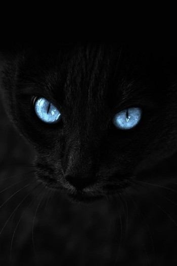 Blackout