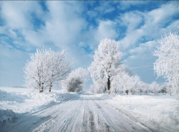 Winter in Poland