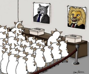 Election Time!