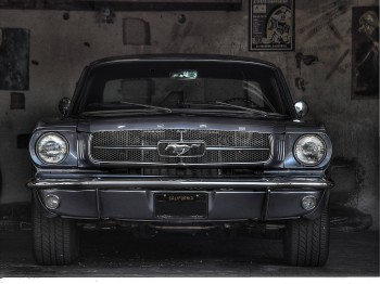 Mustang