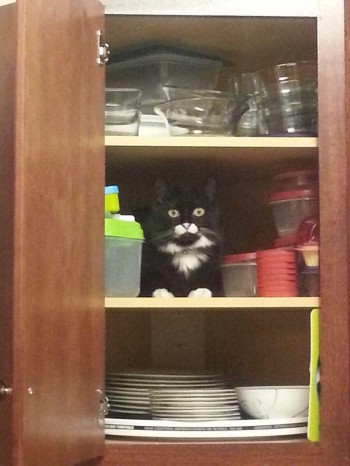 Nothing To See Here