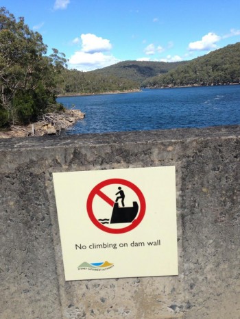 So Many Dam Rules...