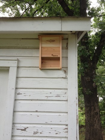 Bat House