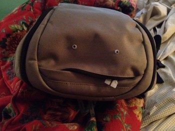 Stupid Backpack