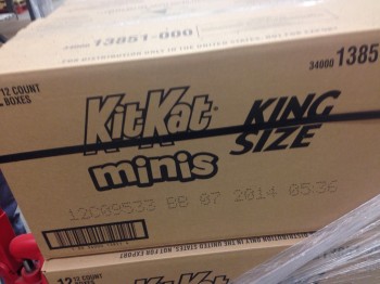 So... Regular Size?