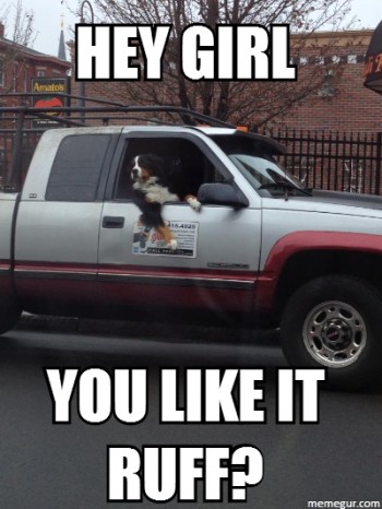 Such A Dog