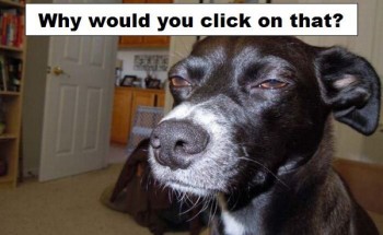 Why would you click on that?