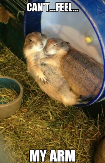 Cuddling