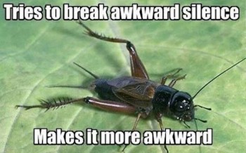 Bad Luck Cricket