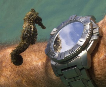 Don't mind me, just checking the time