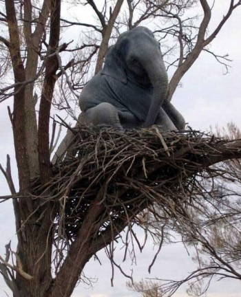 You're not a bird