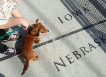 My wiener is so big it stretches from Iowa to Nebraska!