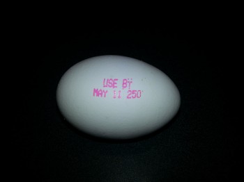 Egg From Roman Times