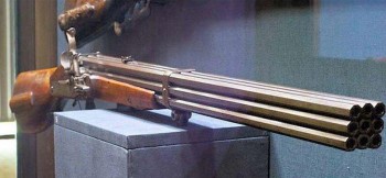 Cat Hunting Rifle