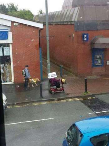 No Unbrella