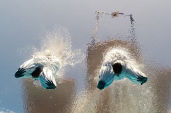 Dive In