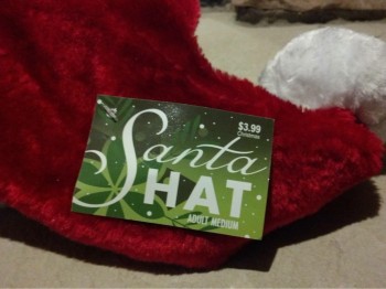 Santa Did What?