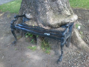 Tree Nom