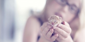 Kitty