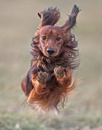Zoom