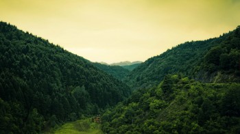Secluded