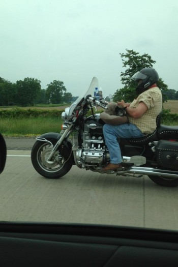 Nothing like texting while riding a motorcycle