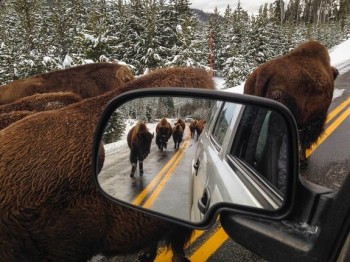 Traffic