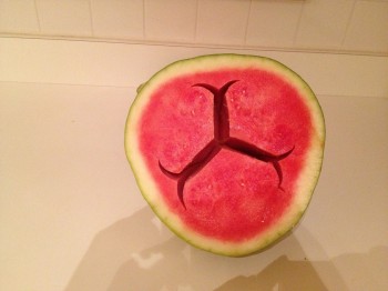 Biohazard Watermelon