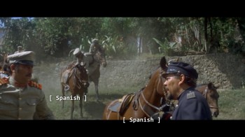 Netflix Subtitles