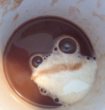 Ribbit