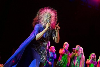 Bjork