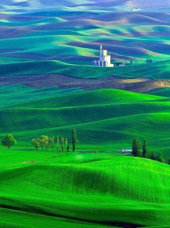 Palouse, Washington