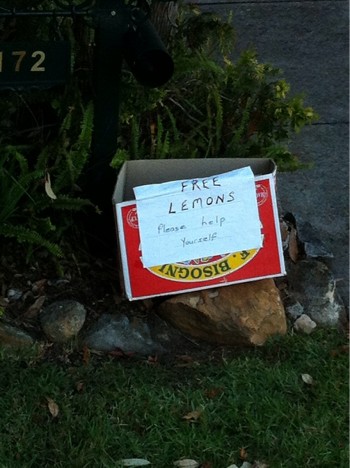 When life gives you lemons...